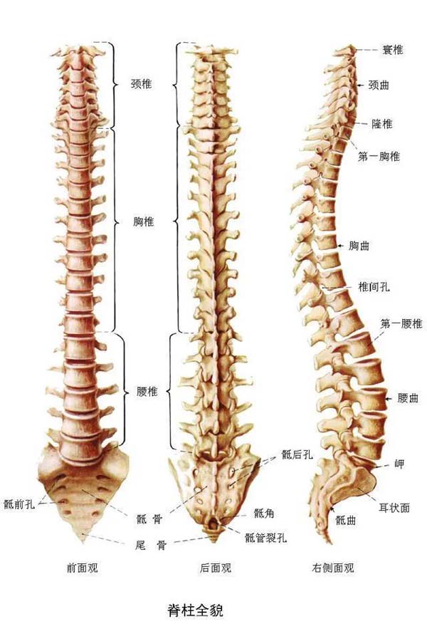 微信图片_20210915155805.jpg