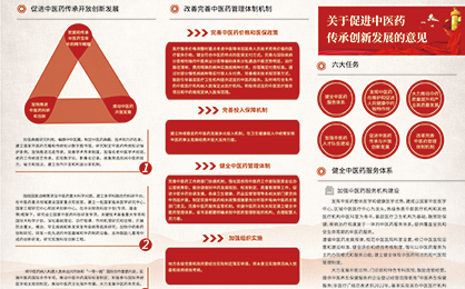 关于促进中医药传承创新发展的意见